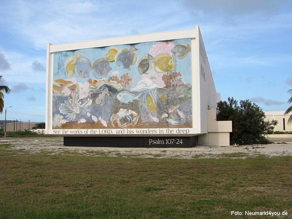 0015 Insel Bonaire 2009